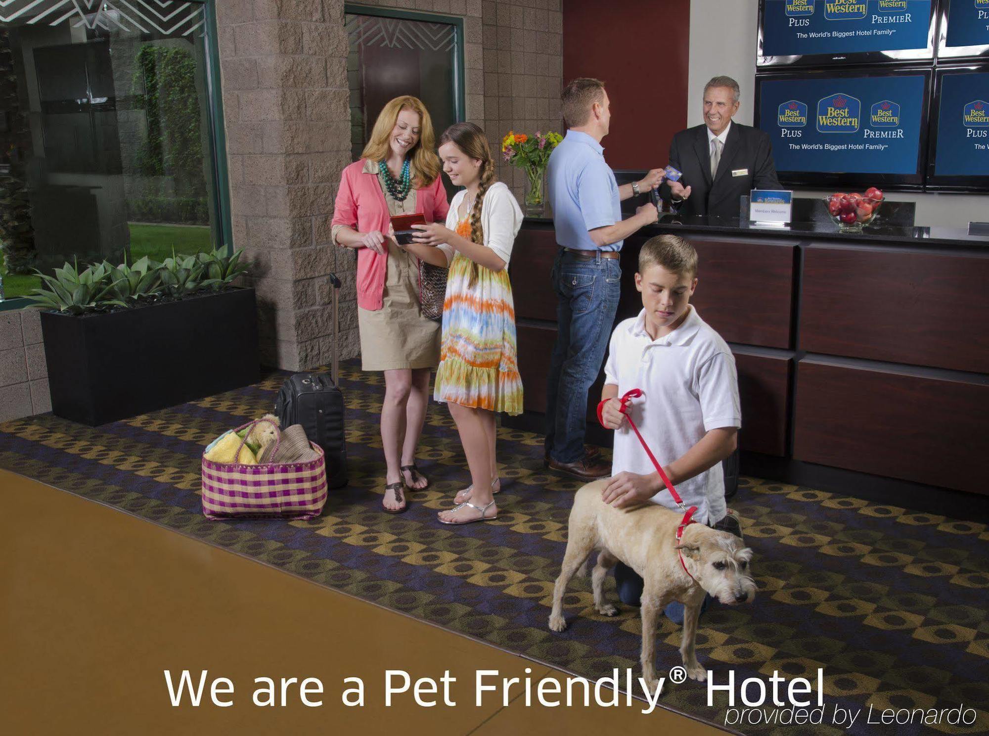 Best Western Plus Finger Lakes Inn & Suites Cortland Extérieur photo
